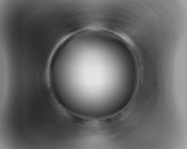 X0000092061248200709262022