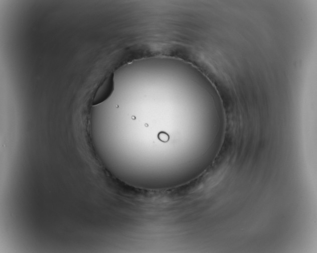 X0000092061249200709262021