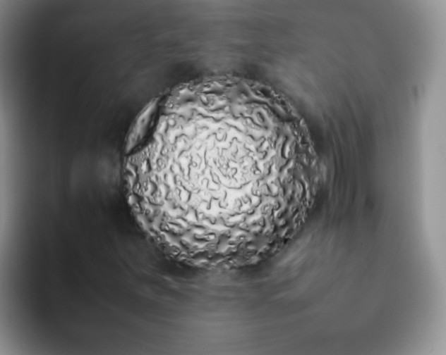 X0000092061251200709262021