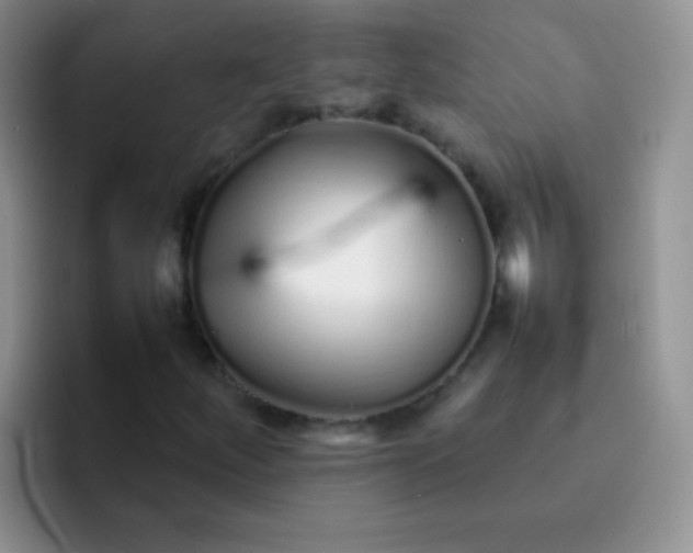 X0000092061252200709262021