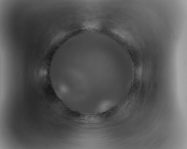 X0000092061254200709262021