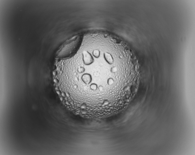 X0000092061255200709262021