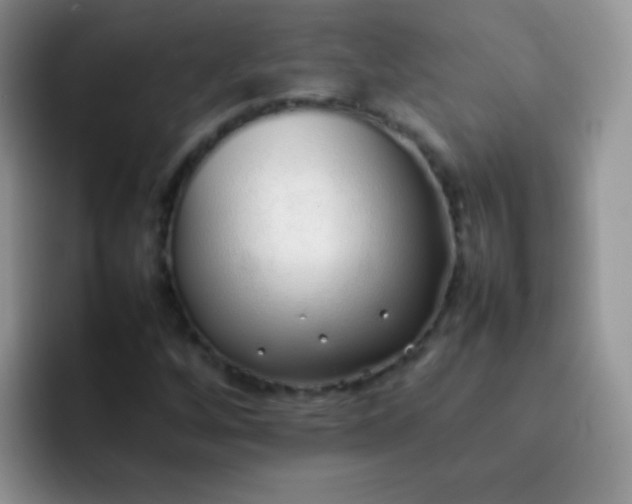 X0000092061256200709262021