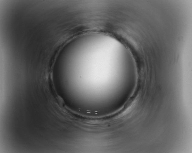 X0000092061257200709262021