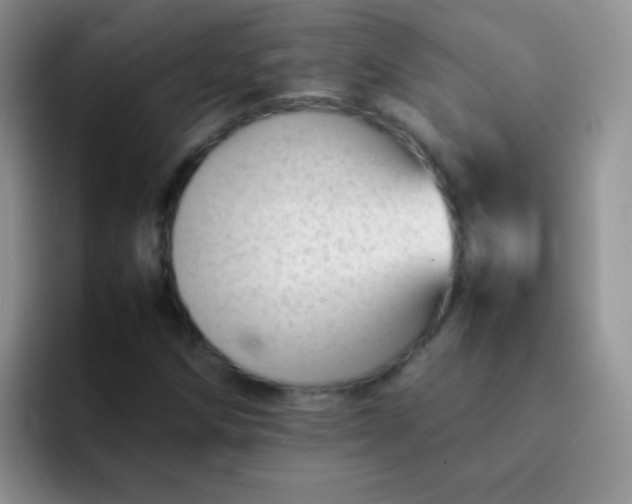 X0000092061258200709262021