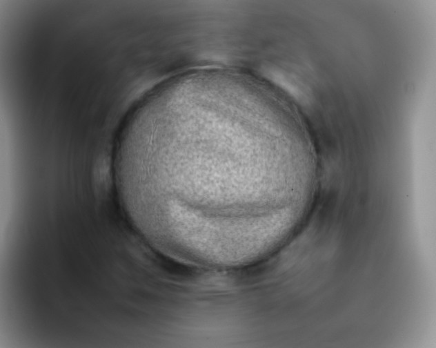 X0000092061259200709262021