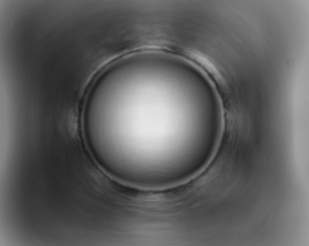 X0000092061260200709262021