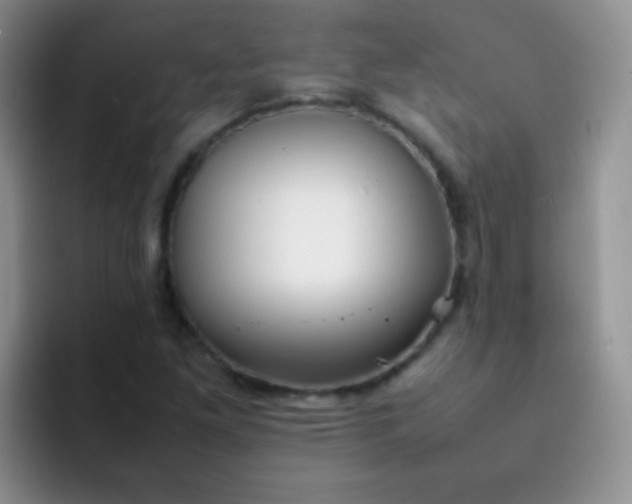 X0000092061261200709262021