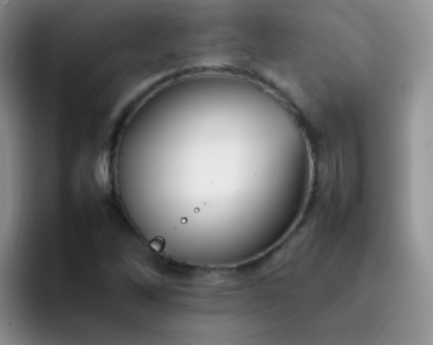 X0000092061262200709262021