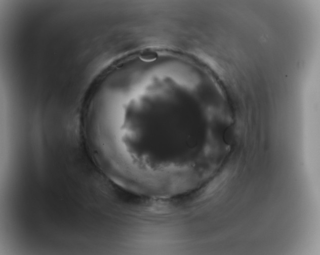 X0000092061263200709262021