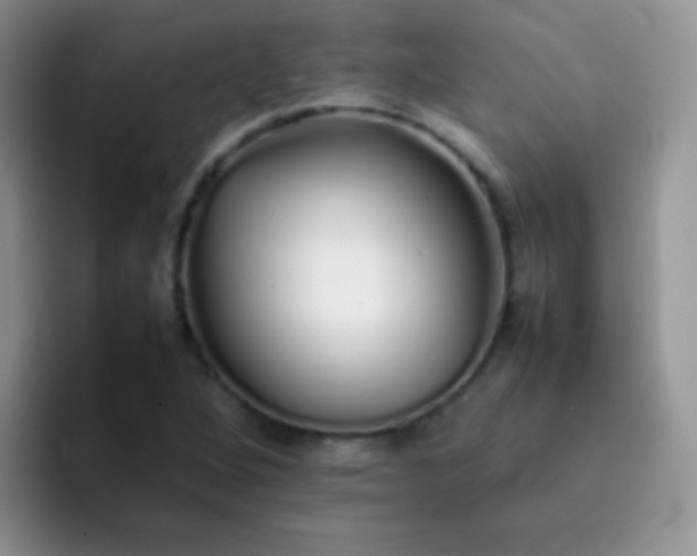 X0000092061264200709262021