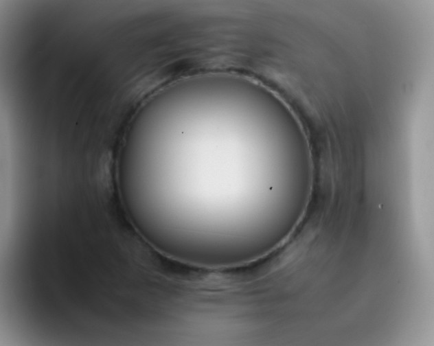 X0000092061265200709262021