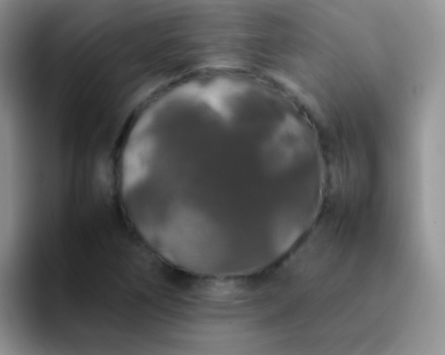 X0000092061266200709262021