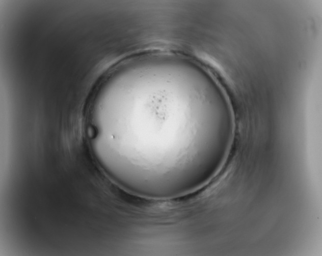 X0000092061267200709262021