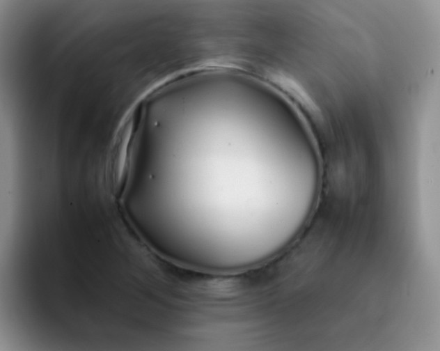 X0000092061268200709262021