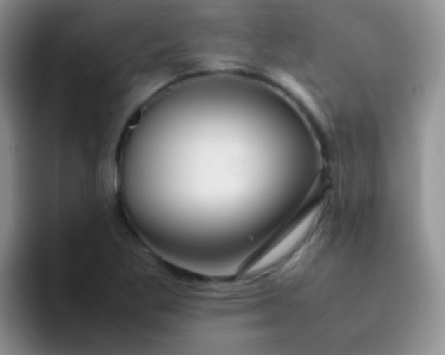 X0000092061269200709262021