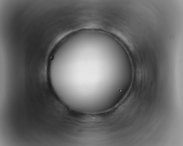 X0000092061270200709262021