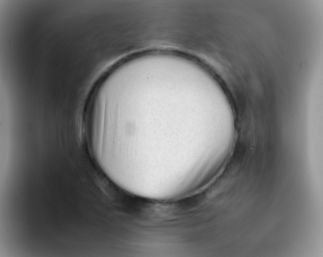 X0000092061271200709262021