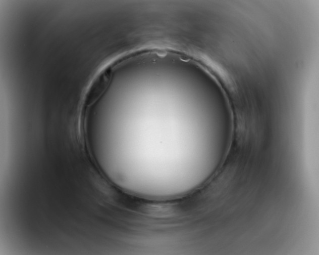 X0000092061272200709262021