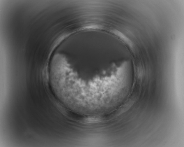 X0000092061274200709262021