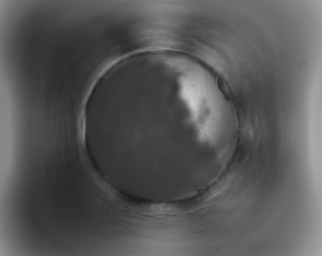 X0000092061275200709262021