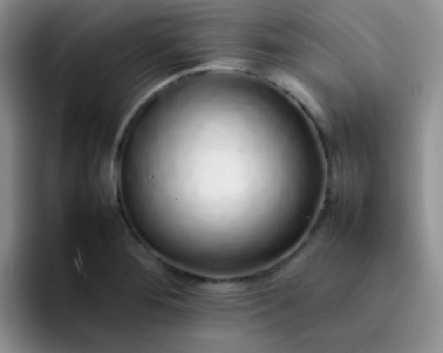 X0000092061276200709262021