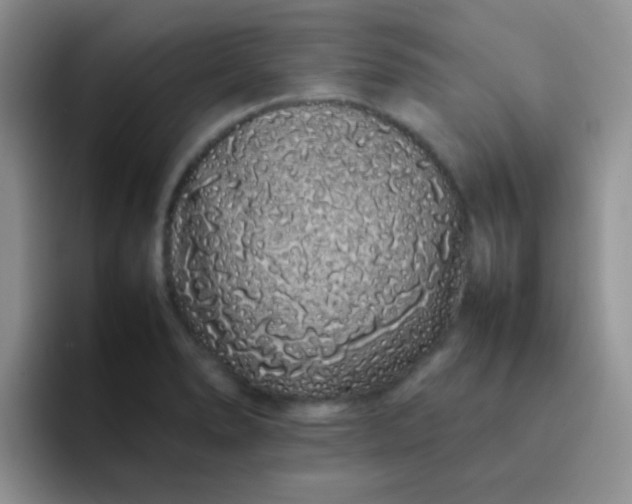 X0000092061278200709262021