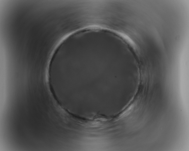 X0000092061279200709262021