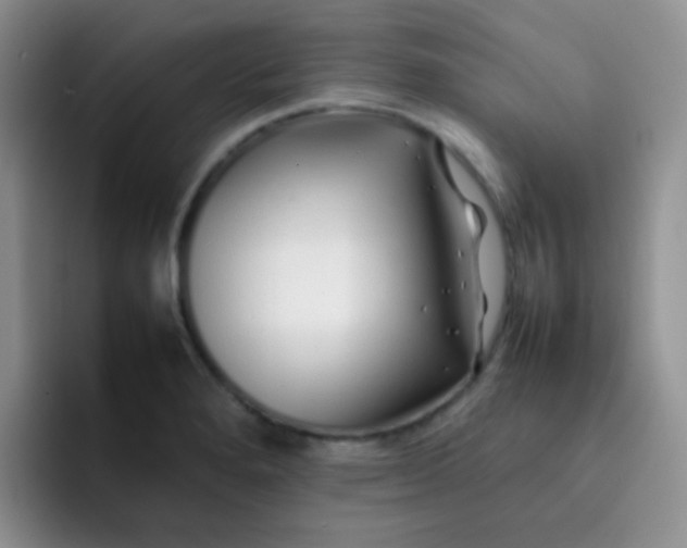 X0000092061280200709262021