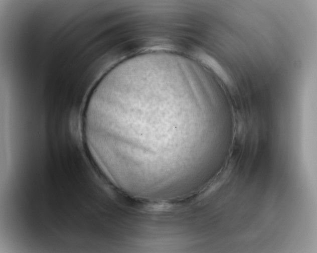 X0000092061282200709262021