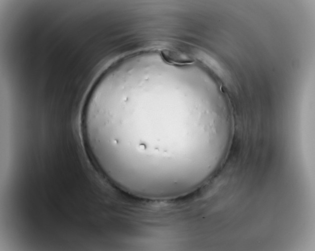 X0000092061283200709262021