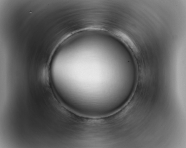 X0000092061284200709262021