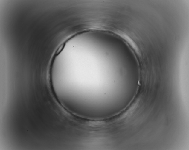 X0000092061285200709262021