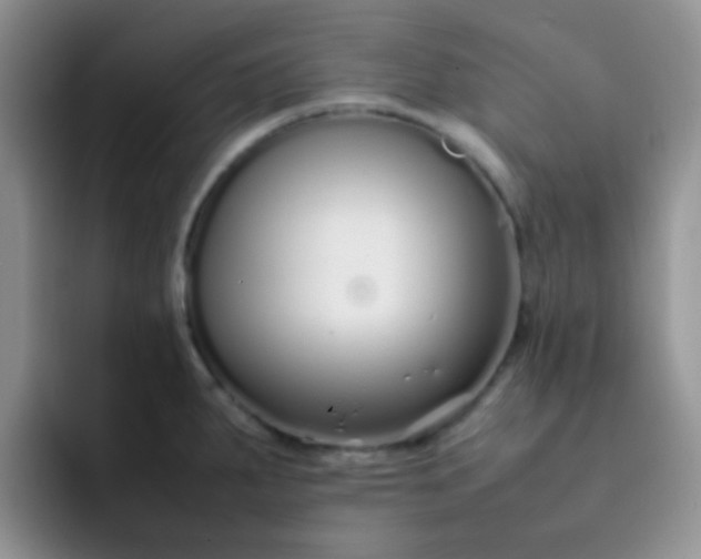 X0000092061287200709262021