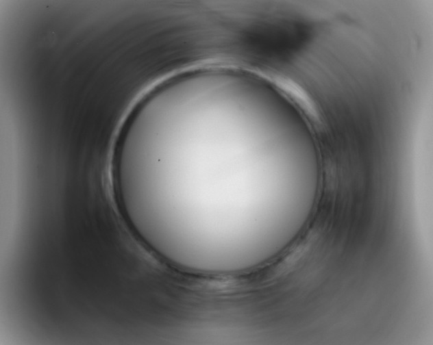 X0000092061288200709262021