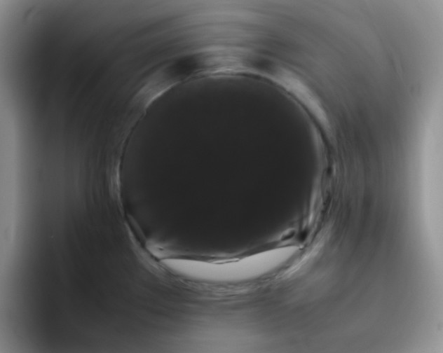 X0000092061289200709262021