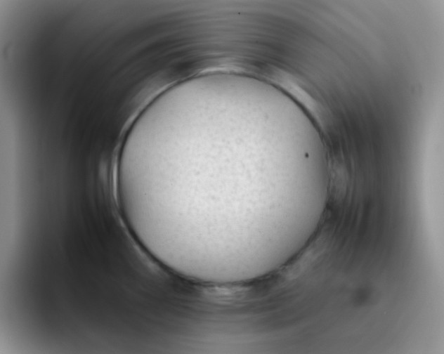 X0000092061290200709262021