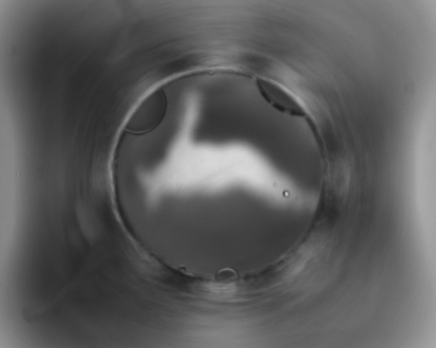 X0000092061291200709262021