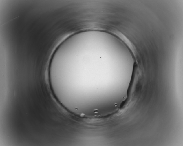 X0000092061293200709262021