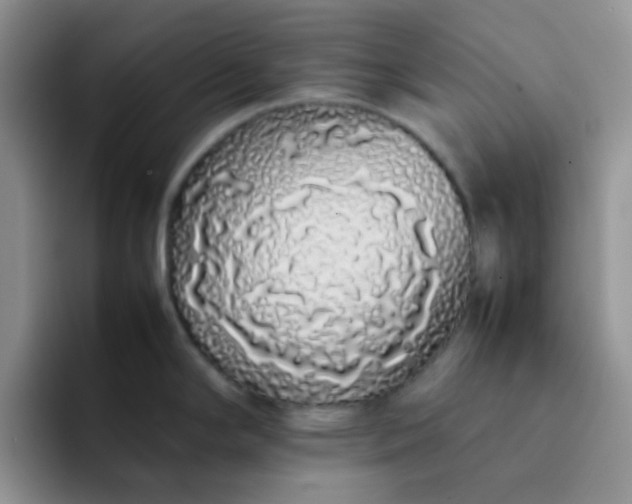 X0000092061294200709262021