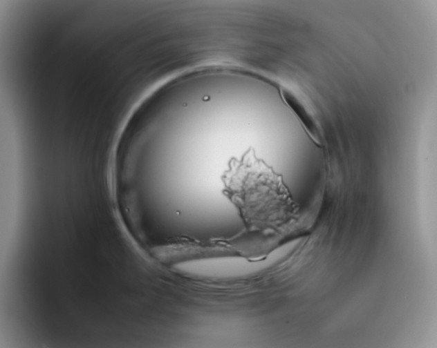 X0000092061295200709262021