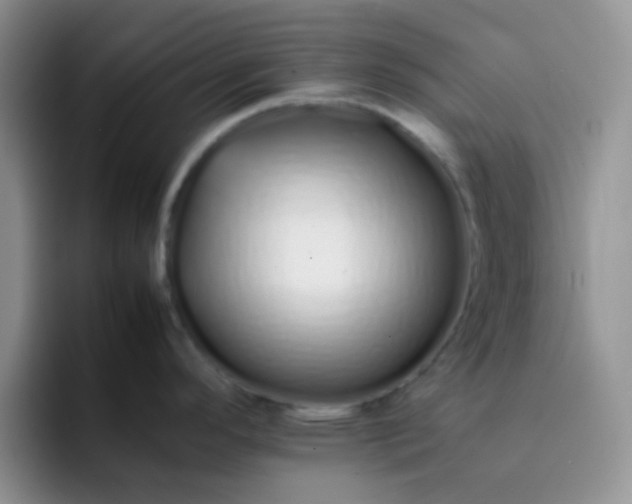 X0000092061296200709262021