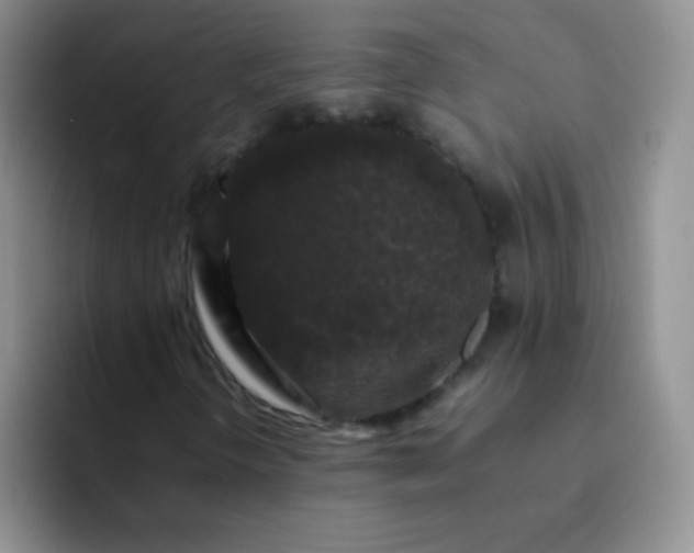 X0000092061298200709262020