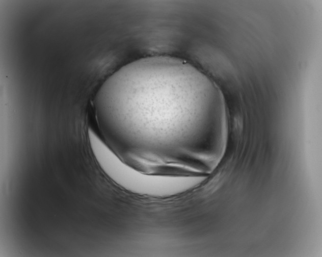 X0000092061300200709262020