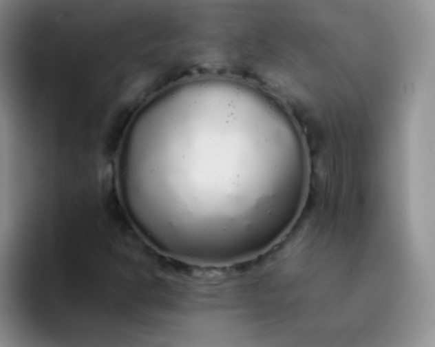 X0000092061302200709262020