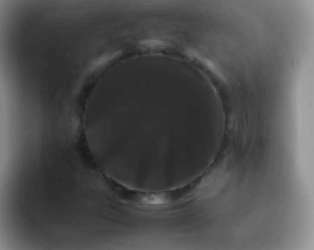 X0000092061303200709262020