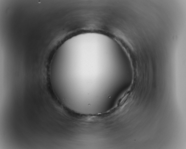 X0000092061304200709262020