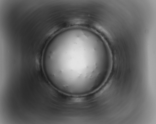 X0000092061305200709262020