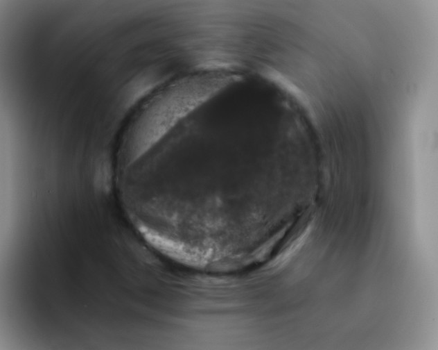 X0000092061306200709262020