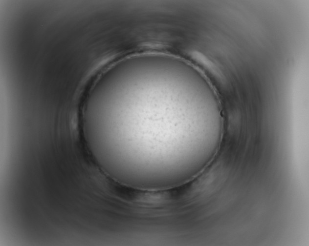 X0000092061307200709262020